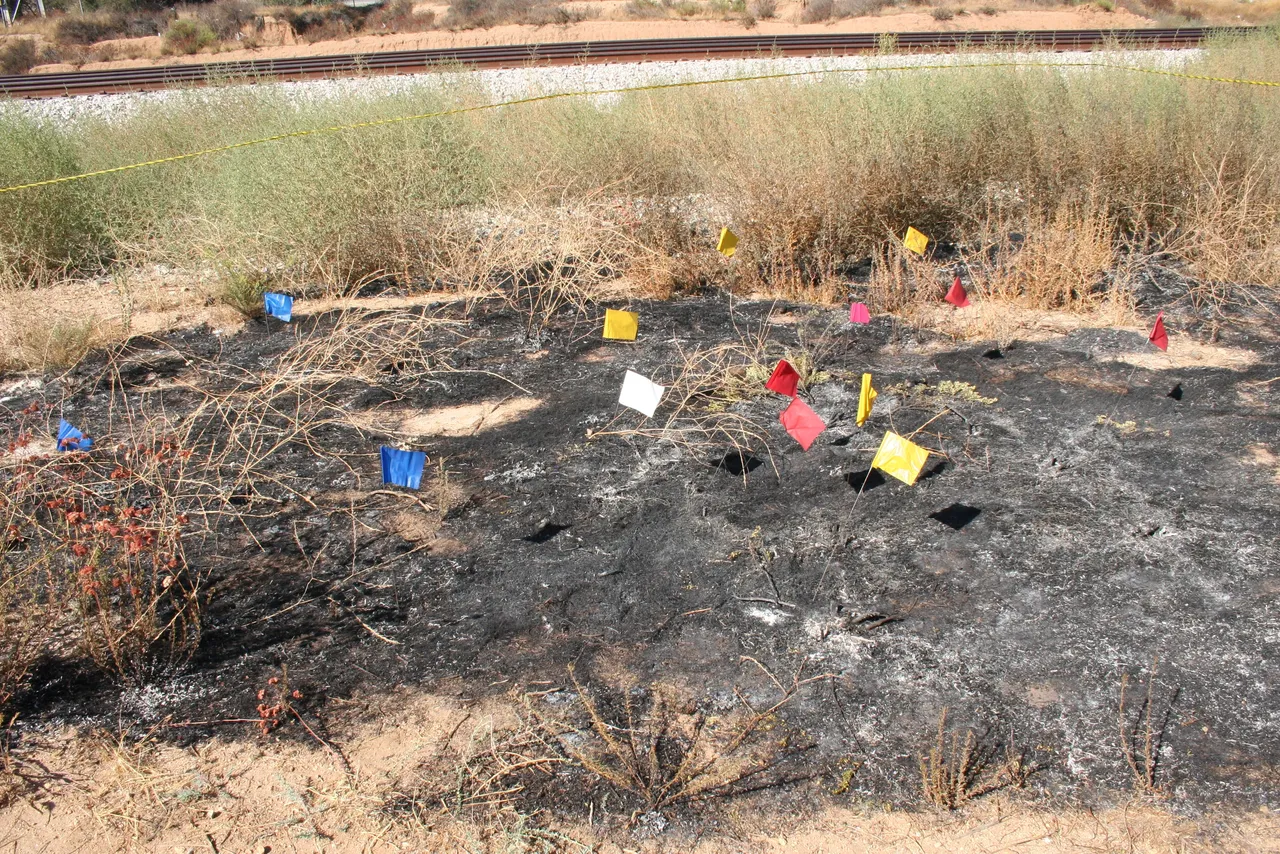 Investigation documentation and analysis context