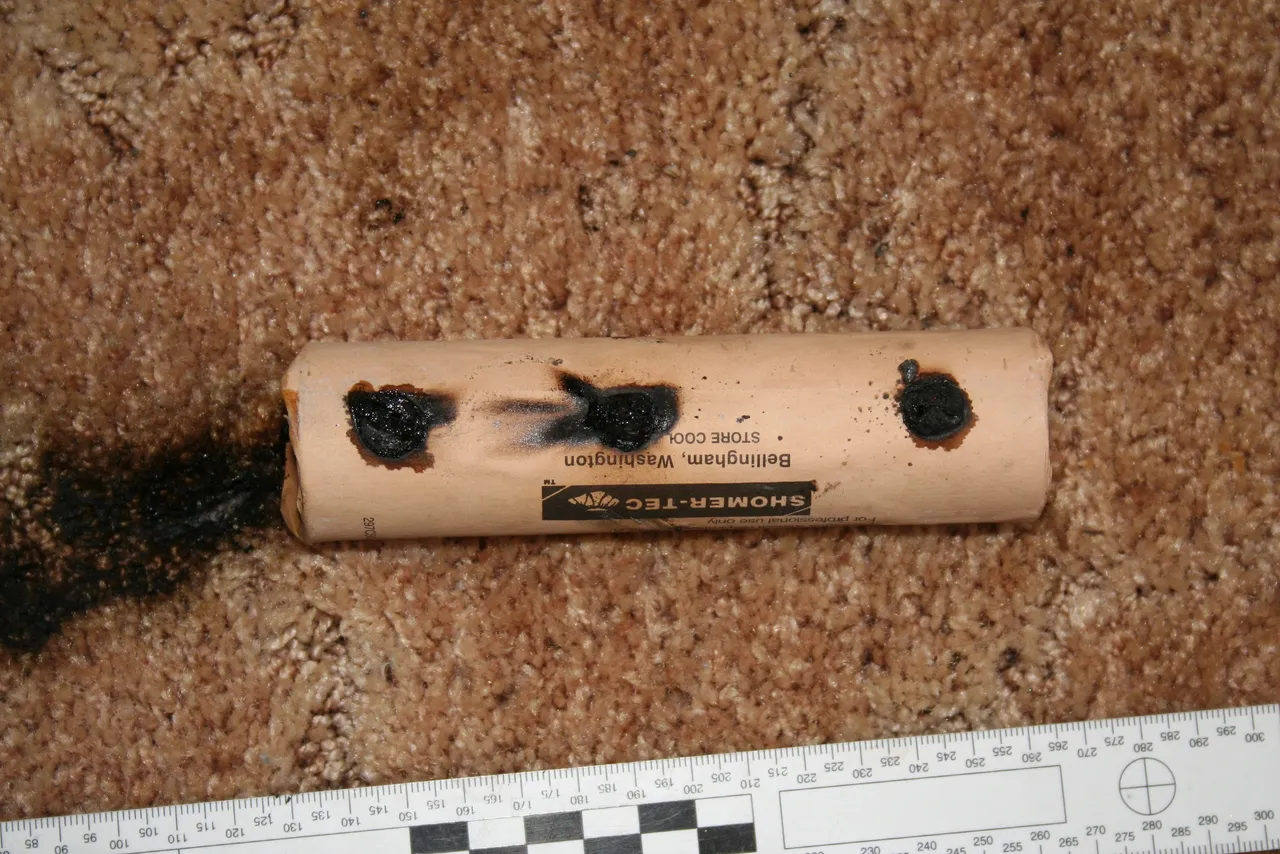 Palmer Fire Investigations professional context